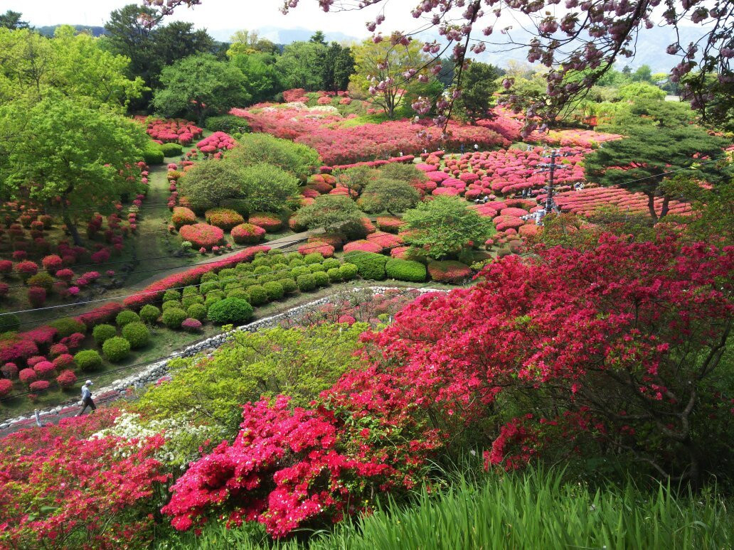 Komuroyama Park景点图片