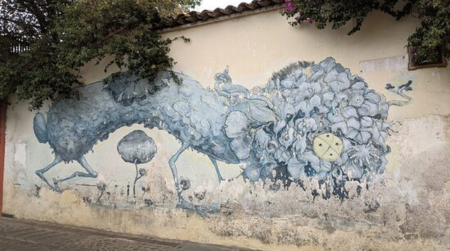 Vamos o que? Tours-瓦哈卡必去景点