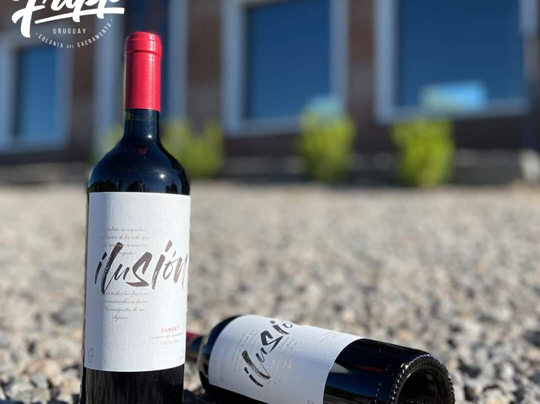 Fripp Viñedos Y Bodega-Conchillas必去景点