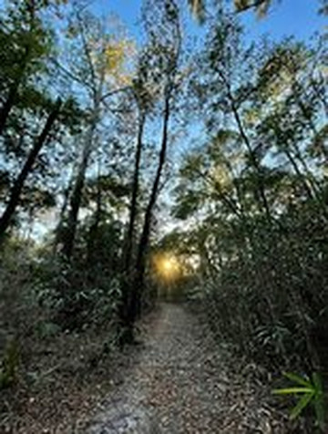 Tillie K. Fowler Regional Park-杰克逊维尔必去景点