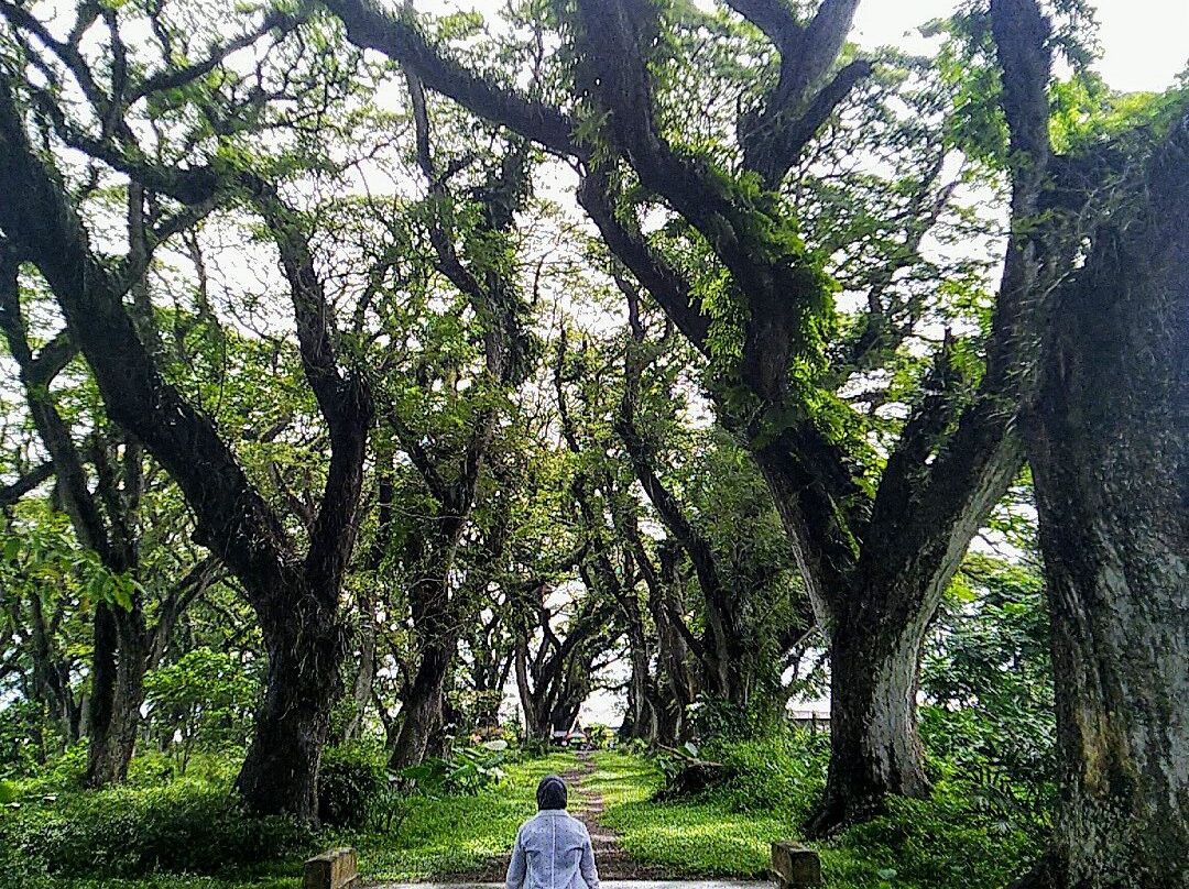 Jawatan Benculuk-巴纽旺宣必去景点