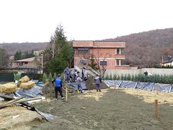 Planet Resort-官方