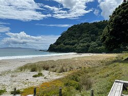 Matarangi Beach景点图片