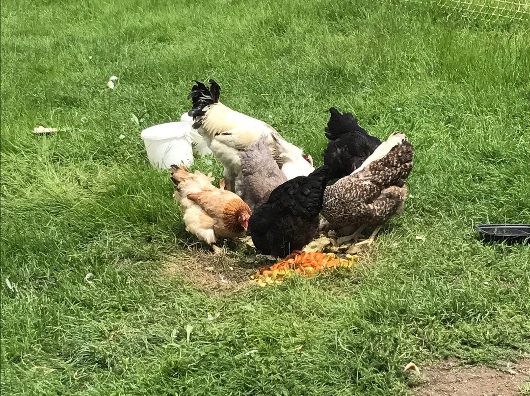 Isserteaux酒店住宿-Relais des Chaux