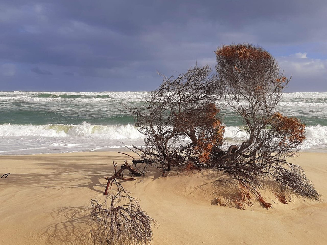 Zulu Sun Safaris-圣露西亚必去景点