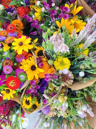 La Plata Farmers Market-La Plata必去景点