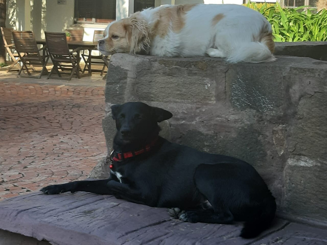 Brandfort酒店住宿-@ The Villa