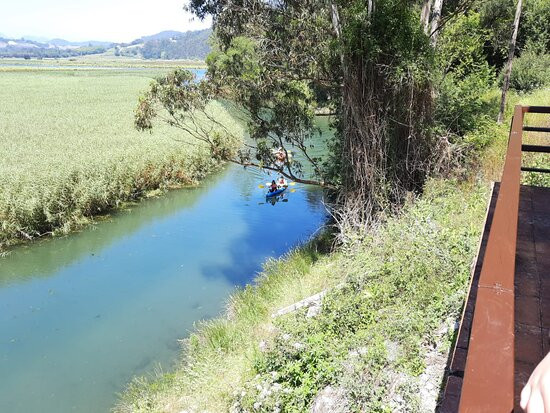 Canoas Rio Deva景点图片