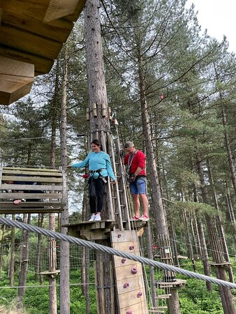 Go Ape Cannock景点图片
