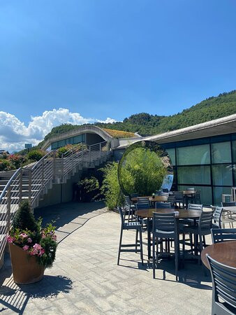 Cantina Mori Colli Zugna景点图片