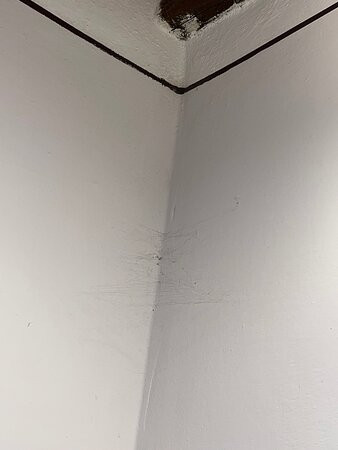泰努塔伊尔布尔基奥酒店主图