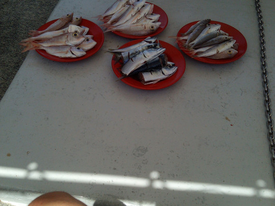 Captain Tziros Fishing Trips Corfu-Sidari必去景点