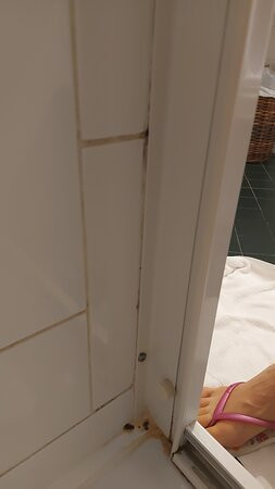 Hotel La Perla Del Golfo主图