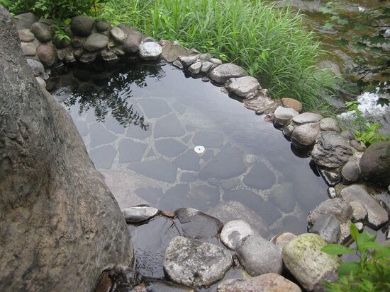 Fujisan Ryokan-浴室