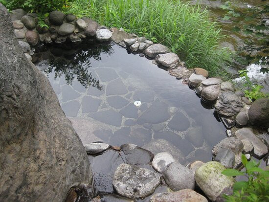 Fujisan Ryokan主图