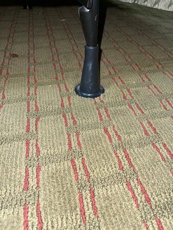 Best Western Pawleys Island主图