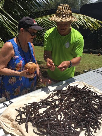 Huahine Land Safari Tour-Fare必去景点