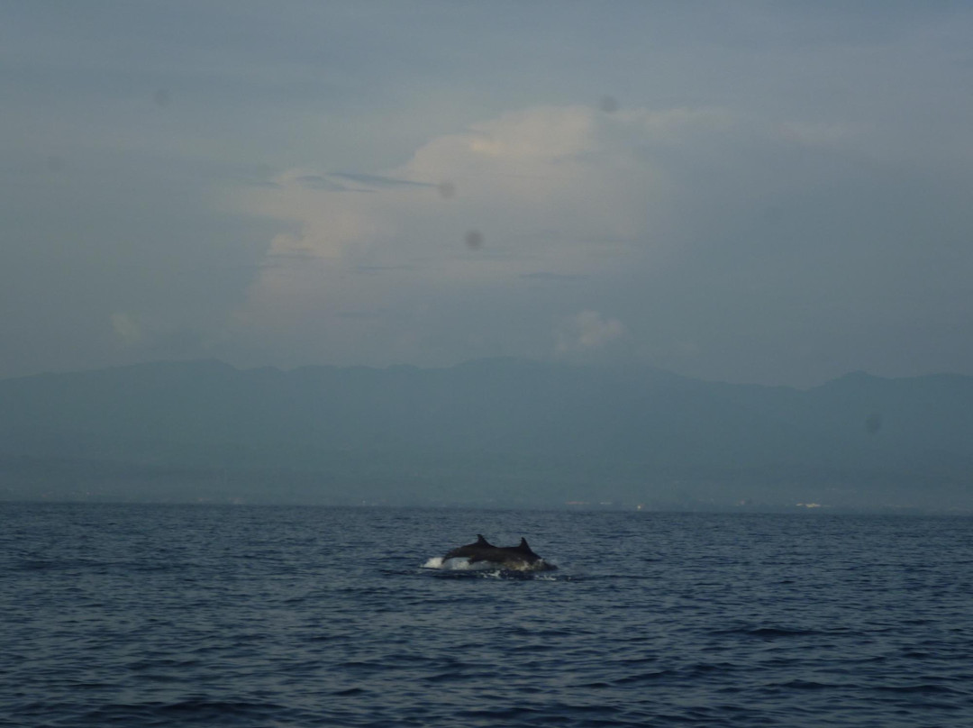 Laut Mas Wisata景点图片