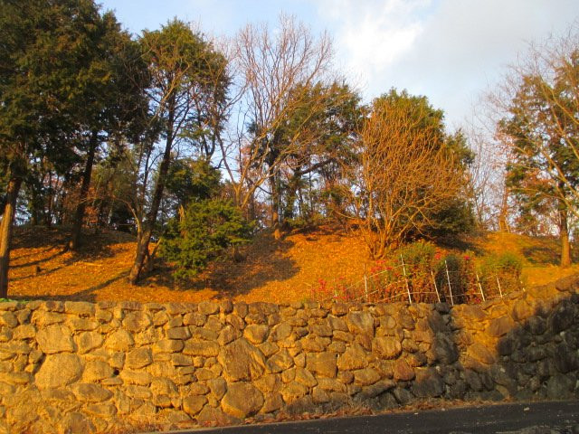 Ikazuchi no Oka Hill景点图片
