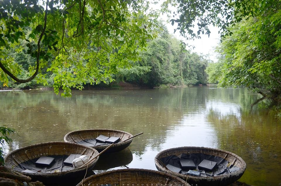 Konni Forest Reserve景点图片