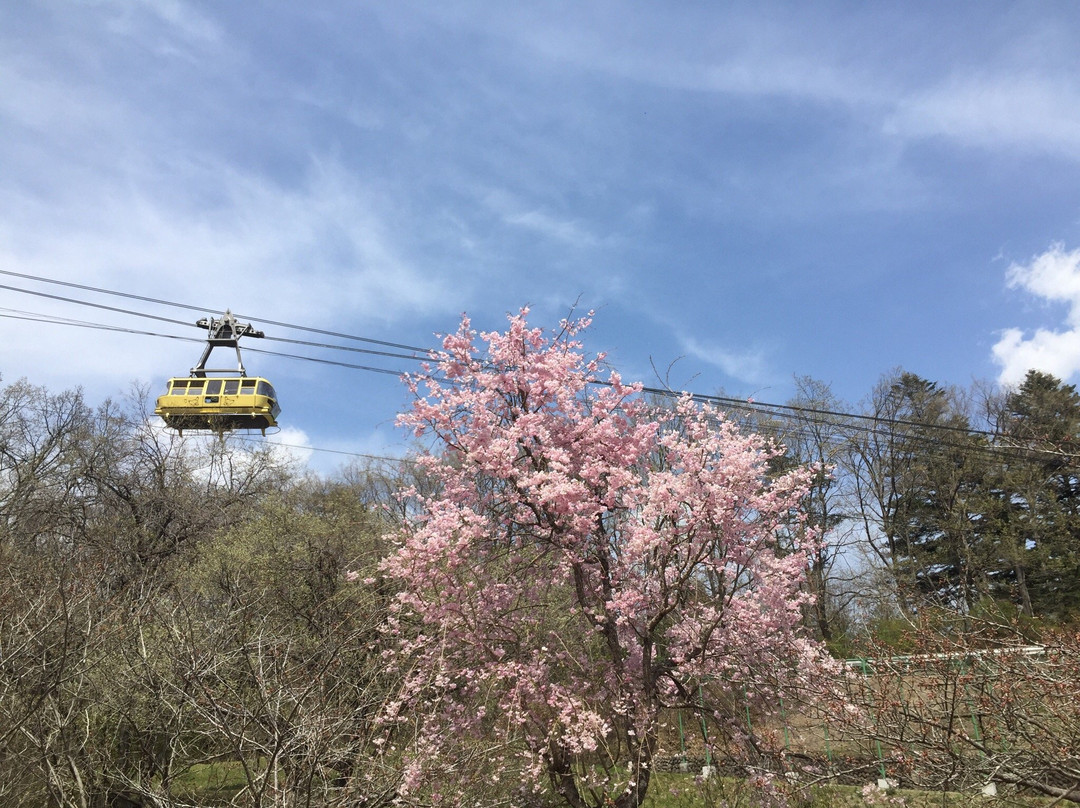 Hodosan Ropeway景点图片