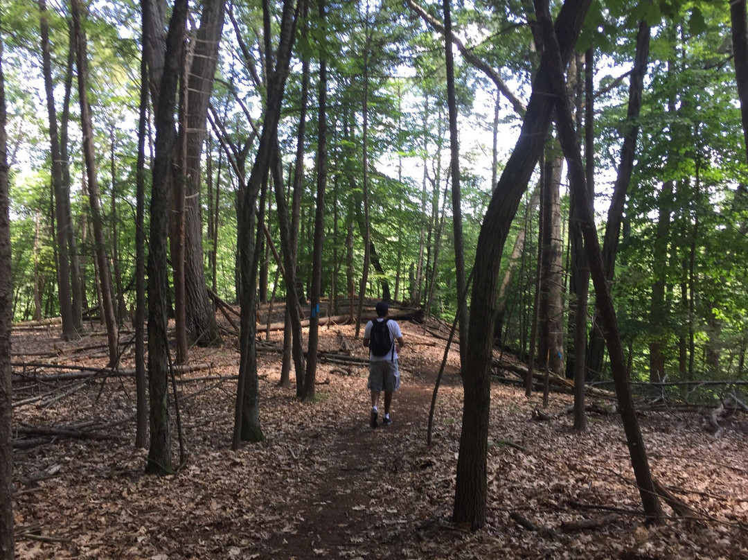 Indian Well State Park-谢尔顿必去景点