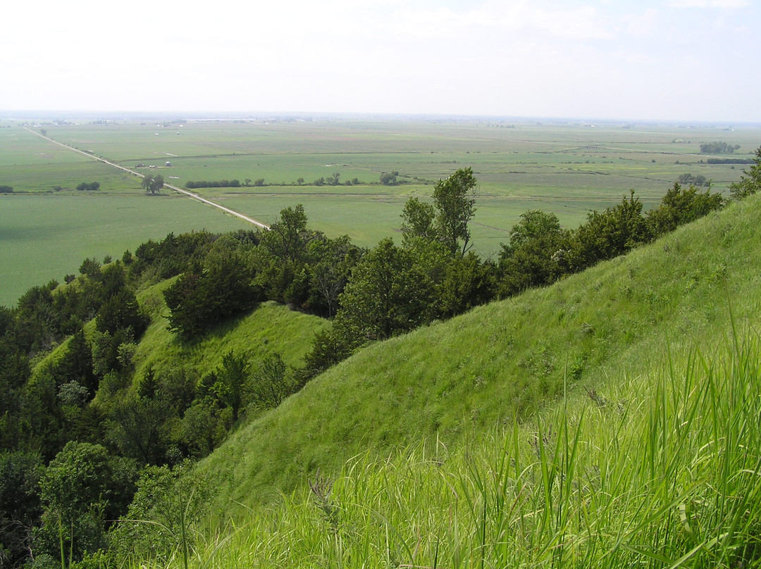 Percival旅游攻略图片
