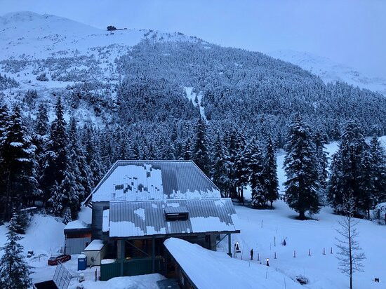 阿拉斯加酒店主图