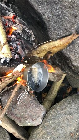 Tropical Island Adventure-Banana Islands必去景点