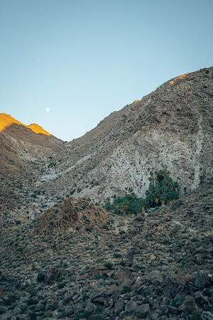 49 Palms Canyon Trail-约书亚树国家公园必去景点