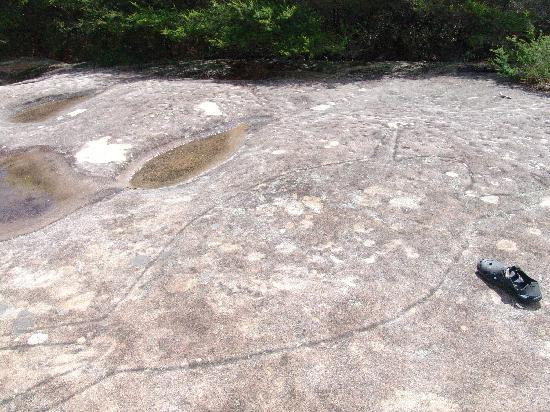 Dharawal Aboriginal Engravings Site-Royal National Park必去景点