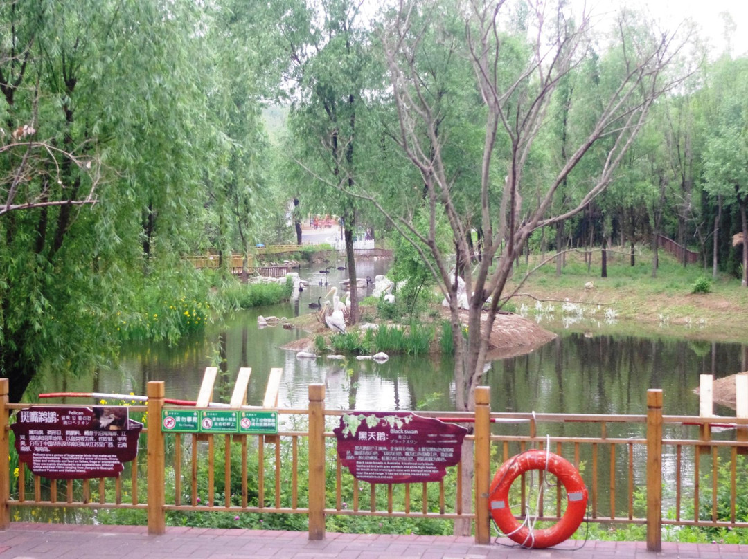 济南野生动物园景点图片