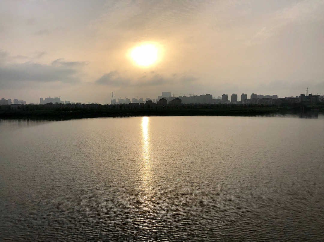 安庆菱湖公园景点图片