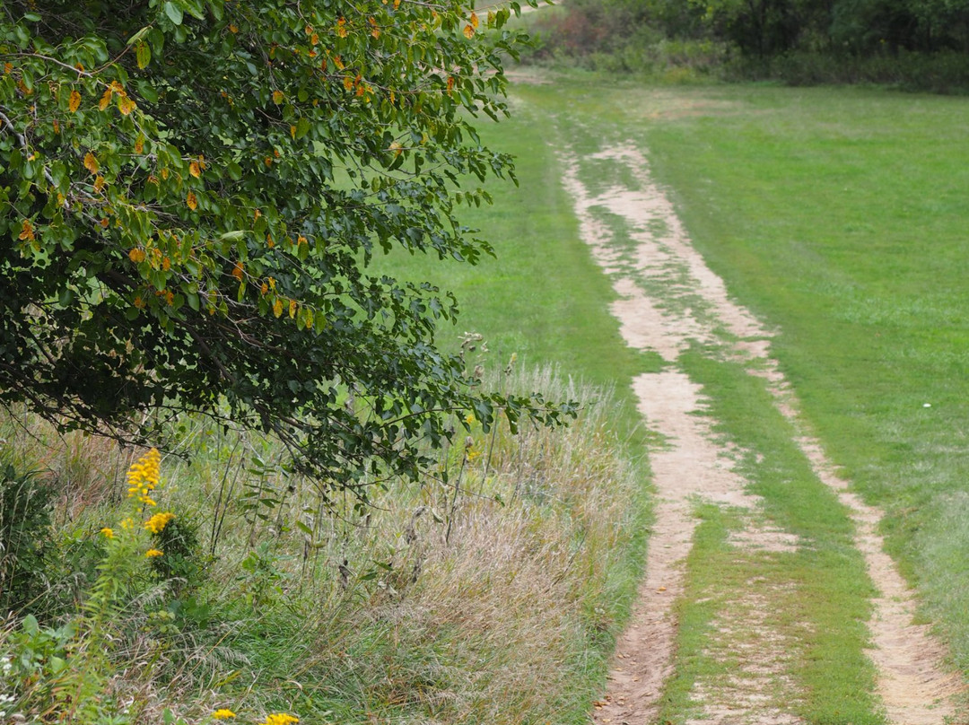 Fairbury旅游攻略图片