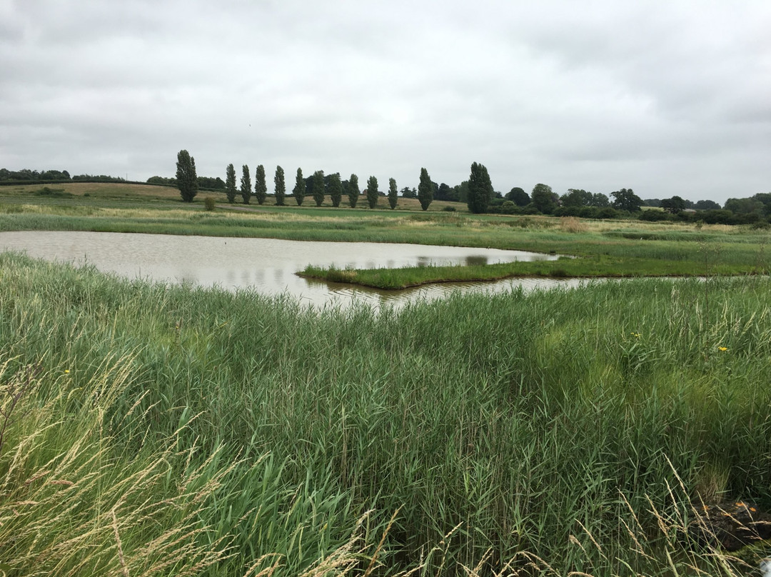 Levington Lagoon景点图片