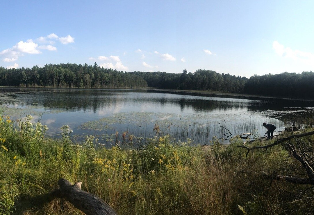 Sand Lakes Quiet Area景点图片