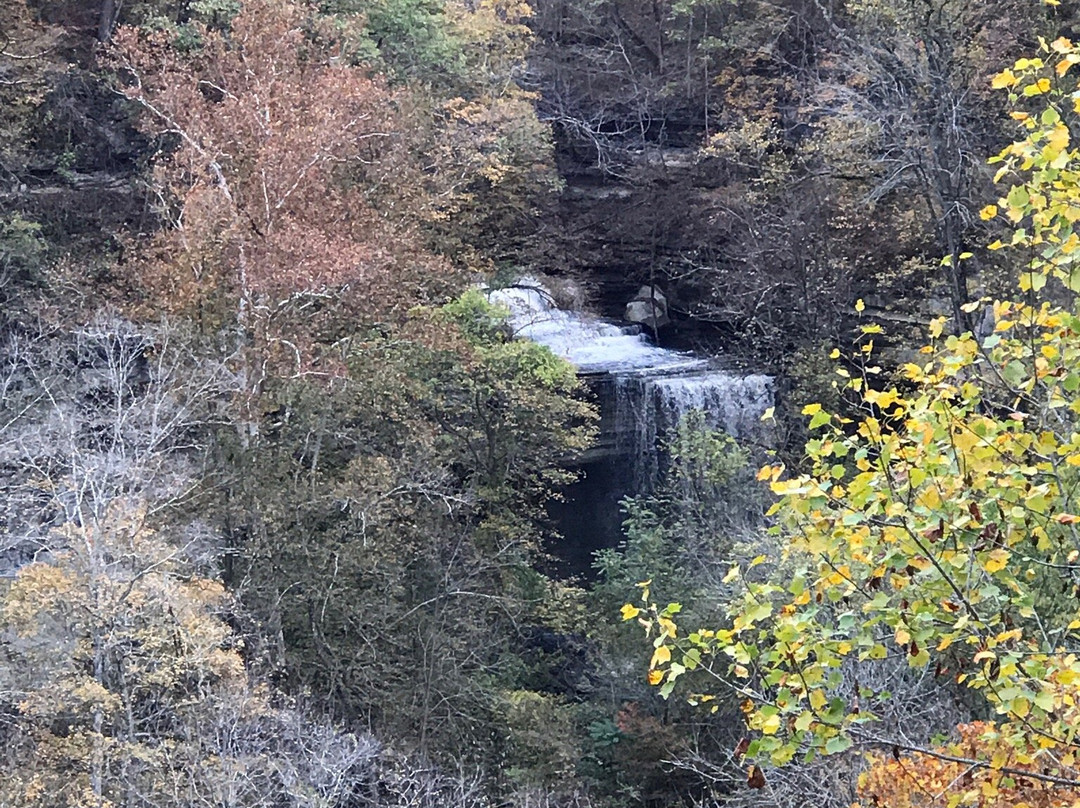 麦迪逊旅游攻略图片