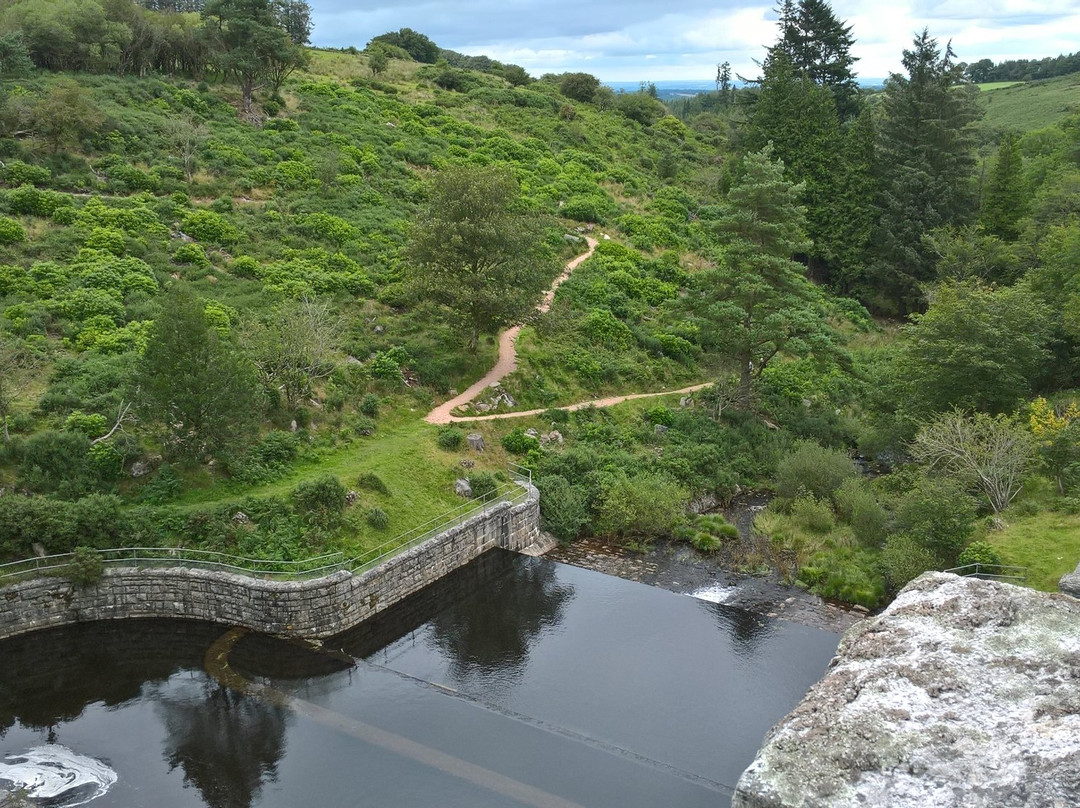 Chagford旅游攻略图片