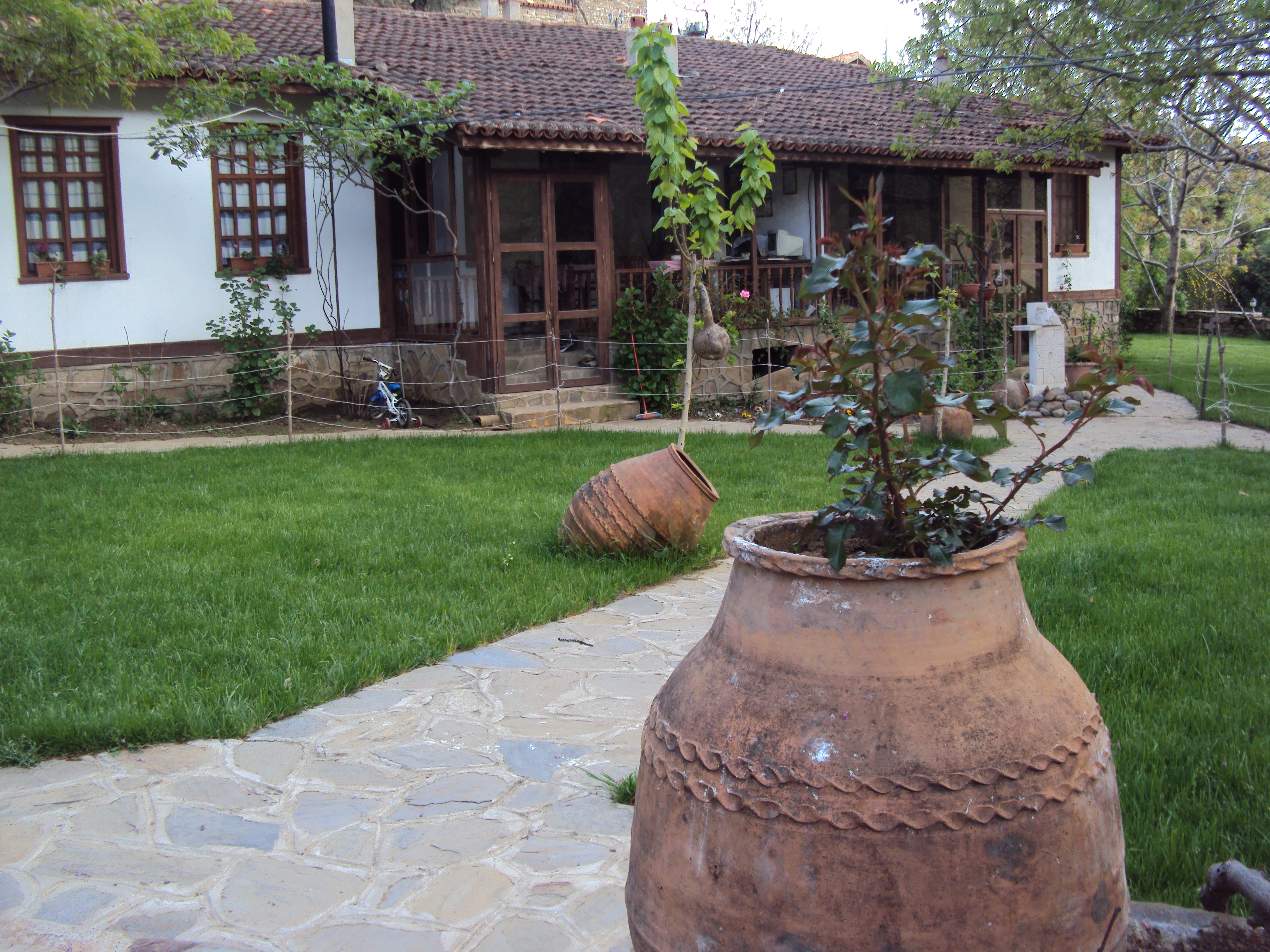 Birgi Cinaralti Pension-官方