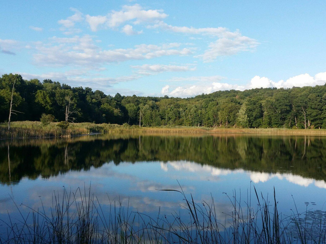 Pittsford旅游攻略图片