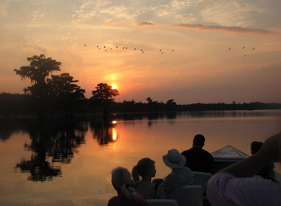 Cajun Country Swamp Tours景点图片