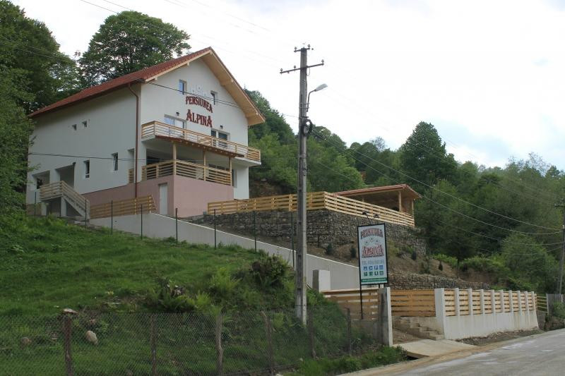 Pensiunea Alpina