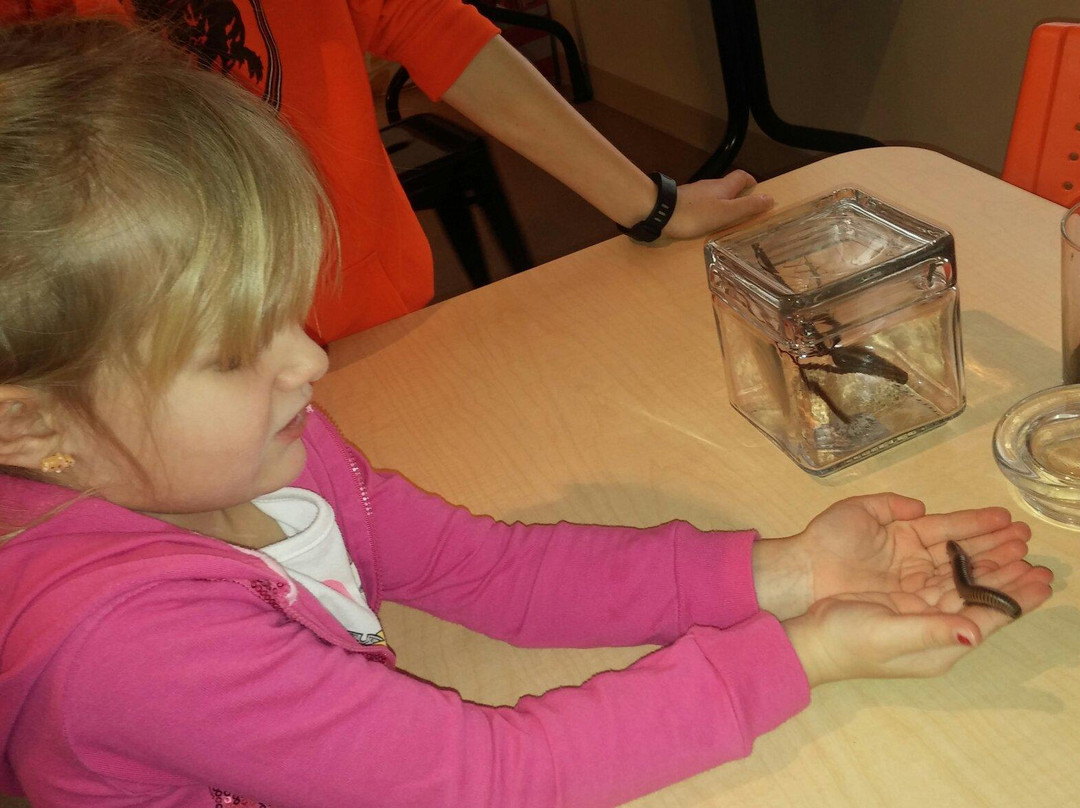 Missoula Butterfly House & Insectarium