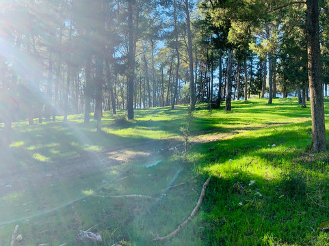 HaZore'a旅游攻略图片