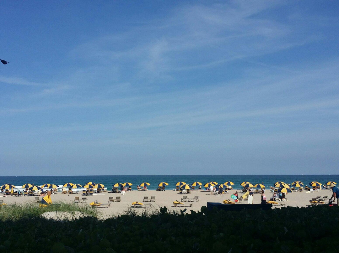Top Shell Beachfront Bar-Singer Island必去景点