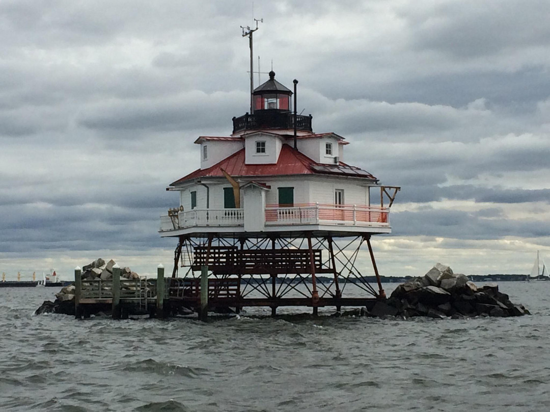 Chesapeake Lights Lighthouse Tours景点图片