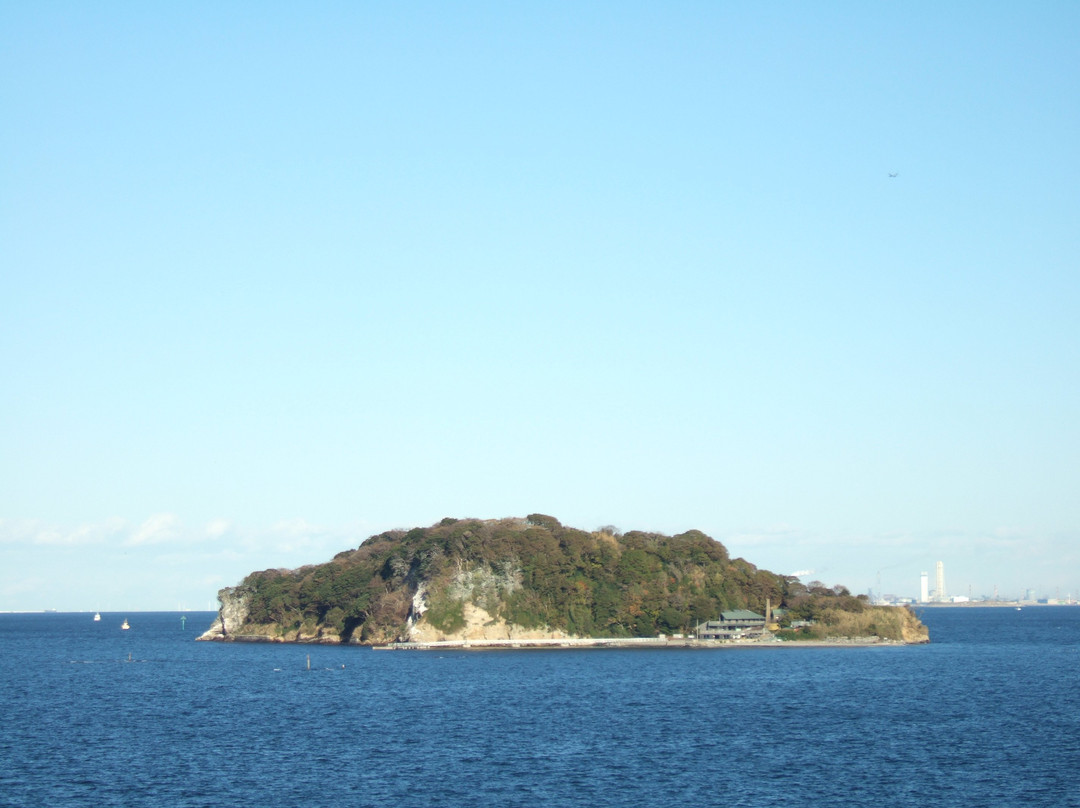 Sarushima Island (Monkey Island)景点图片