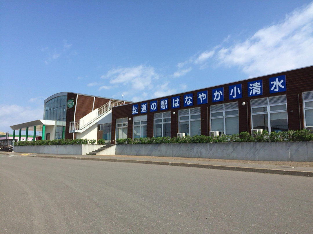 Michi-no-Eki Hanayaka Koshimizu