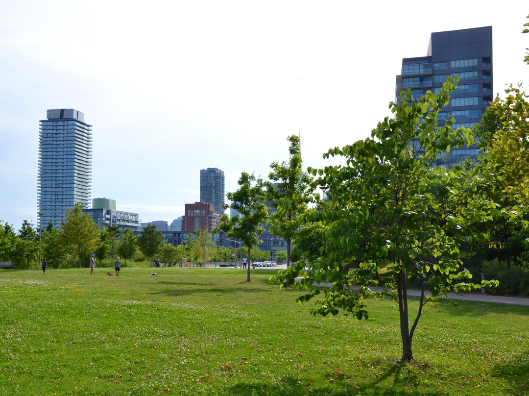 Corktown Common-多伦多必去景点