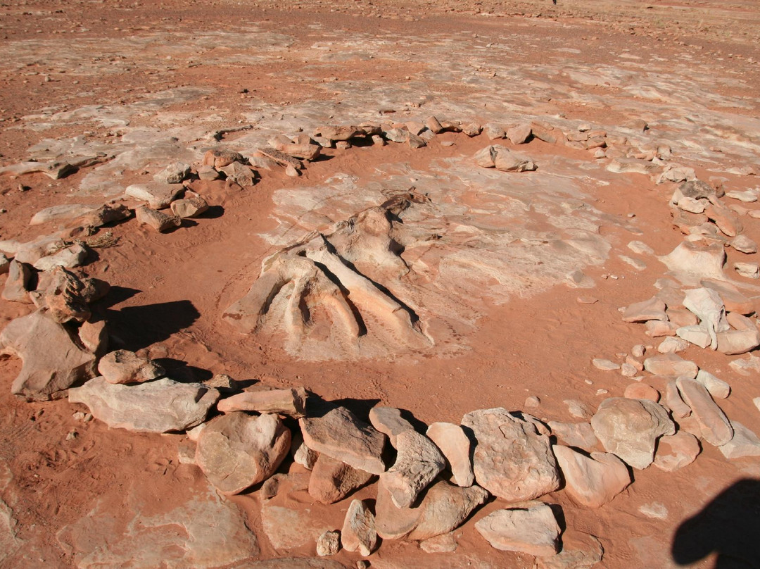 Dinosaur Tracks景点图片